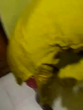 Red_Kegal stripchat live cam model