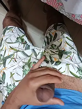 Gallo001 stripchat live cam model