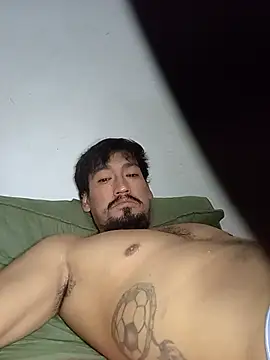 stefamholmes stripchat live cam model