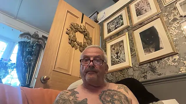 poggles stripchat live cam model