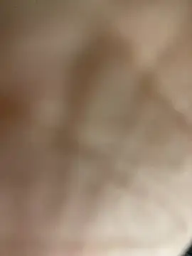 speddy34 stripchat live cam model