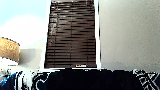 studlyhardwoodd stripchat live cam model