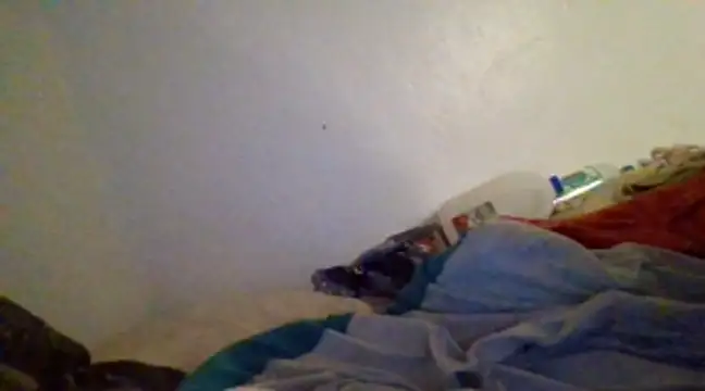 ThorsonFreja stripchat live cam model