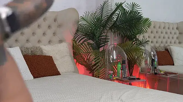 TiffanyMaze stripchat live cam model