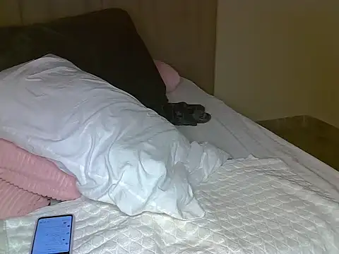 Sexyariahhh stripchat live cam model