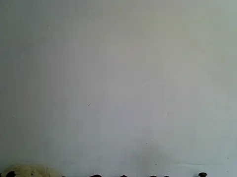 Bianca0011 stripchat live cam model
