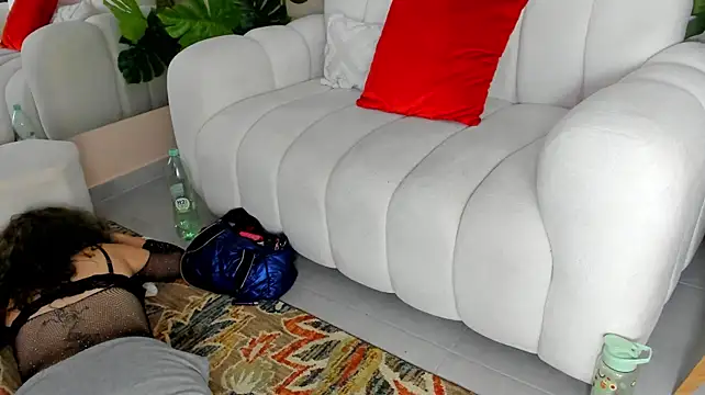 naira_velvett stripchat live cam model