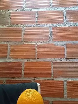 Gonzafit stripchat live cam model