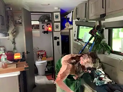 Intothewoodswego stripchat live cam model