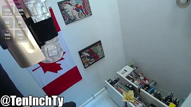teninchty stripchat live cam model