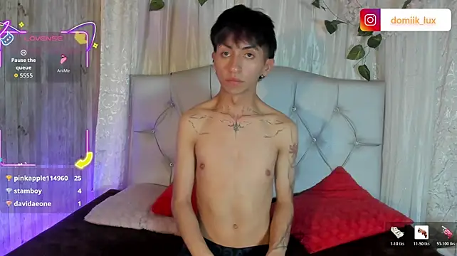 Dominik_lux stripchat live cam model