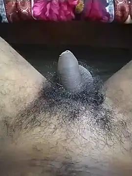 dasabhi7478 stripchat live cam model