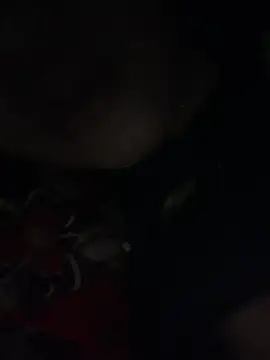 meoww07 stripchat live cam model
