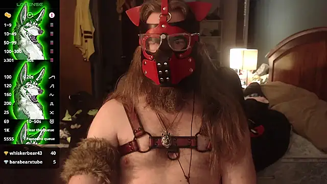 kinkywolf429 stripchat live cam model