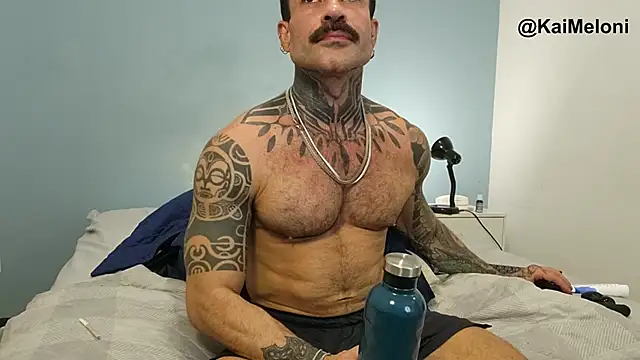 kaimeloni stripchat live cam model