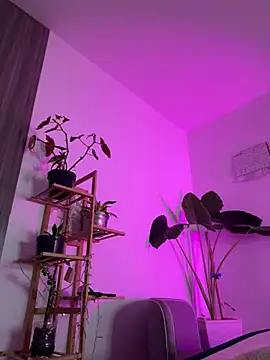rossth1 stripchat live cam model