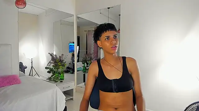 dayis118 stripchat live cam model