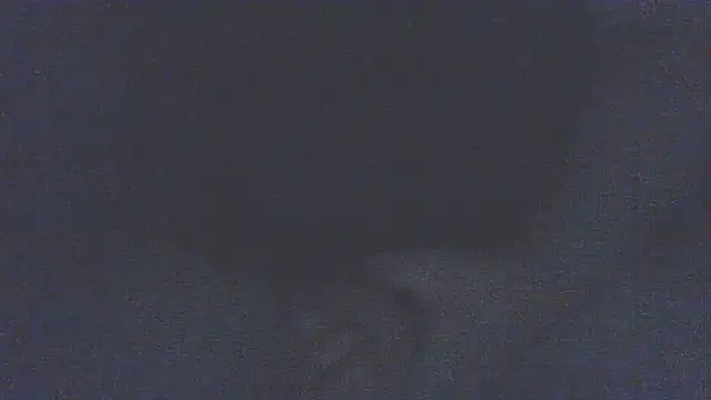 emr077 stripchat live cam model