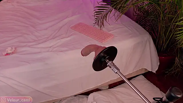 CamilaVelour stripchat live cam model