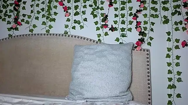xoxcatt stripchat live cam model