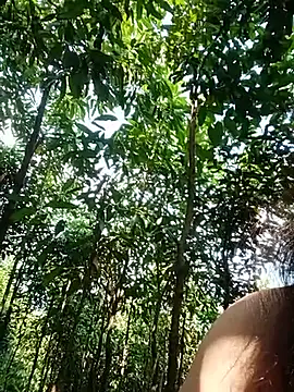 ctm-cute stripchat live cam model