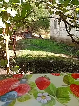 Stikloav stripchat live cam model
