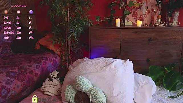 soft_animal_ stripchat live cam model