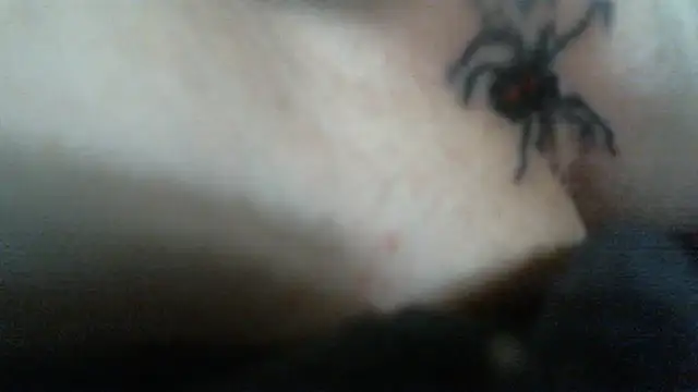 LilDaddyX stripchat live cam model