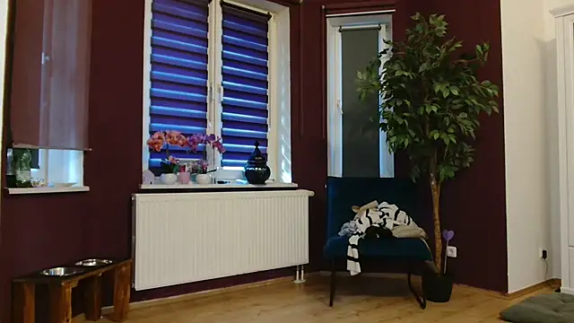 Jasmin-White stripchat live cam model