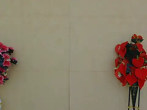 Curvy_Nittya stripchat live cam model