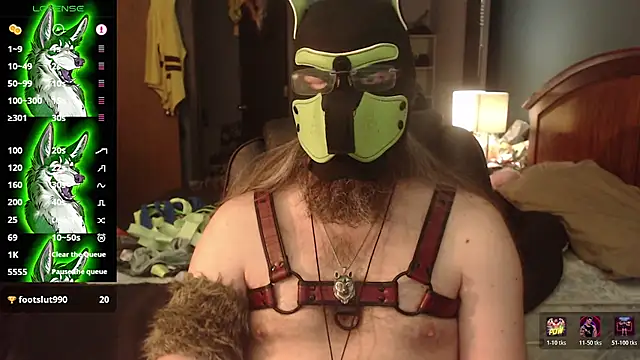 kinkywolf429 stripchat live cam model