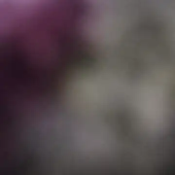 desiboybbcthink stripchat live cam model