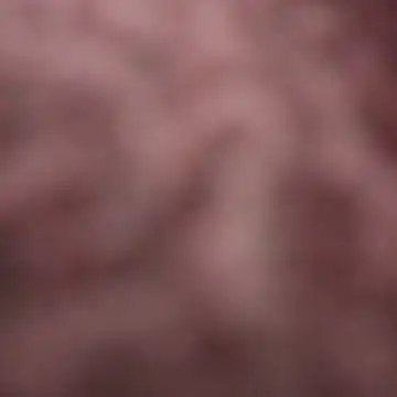 desiboybbcthink stripchat live cam model