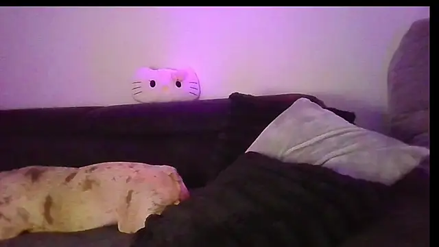 AnnaVita stripchat live cam model