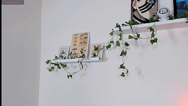 haru_storm stripchat live cam model