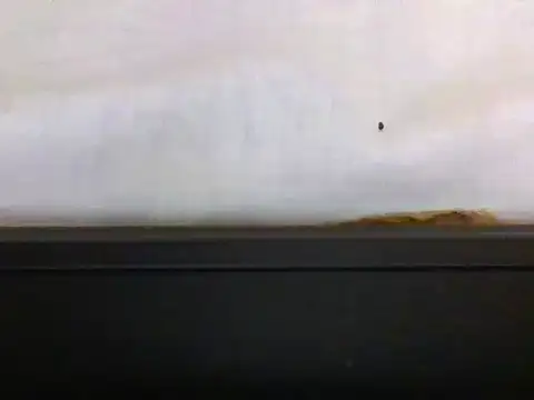 LARN-C stripchat live cam model