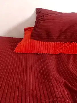 -The_Bee- stripchat live cam model