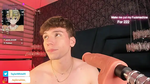 TaylerWhite stripchat live cam model