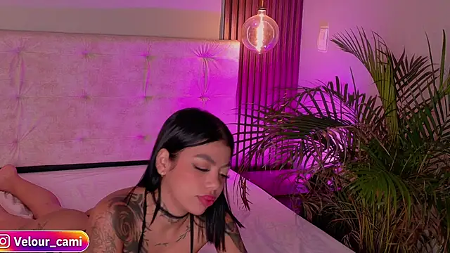 CamilaVelour stripchat live cam model