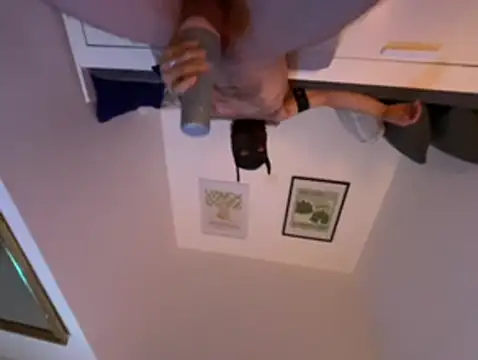 StillNiceUserName stripchat live cam model