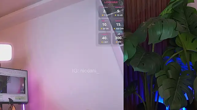 nicdani_1 stripchat live cam model