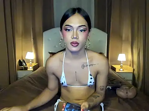 ts_ShaShaGREY18 stripchat live cam model