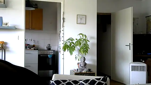 frenchblackc31 stripchat live cam model