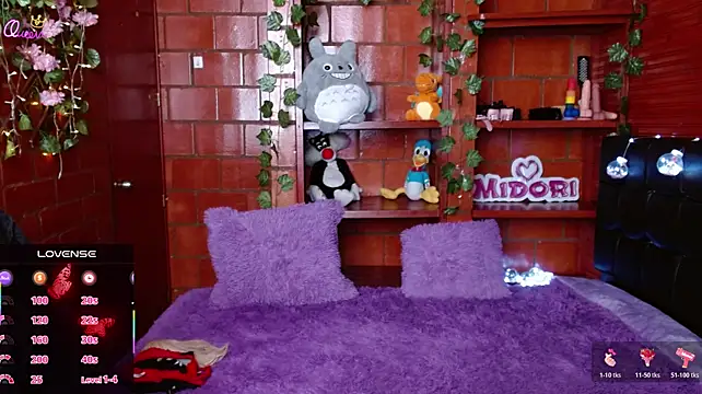 MidoriQuiinn stripchat live cam model