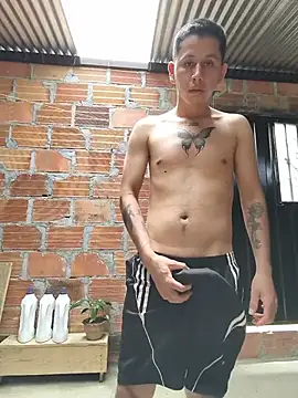 alex_strong19 stripchat live cam model