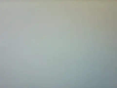 bigmelon stripchat live cam model
