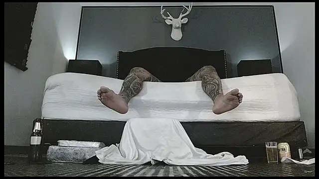 danilog515 stripchat live cam model