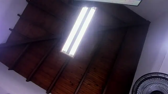 littlemusee stripchat live cam model