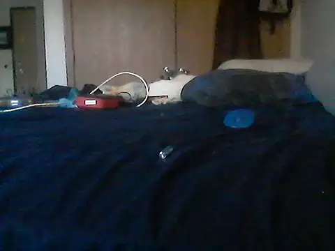 Silencio26 stripchat live cam model