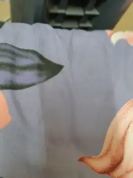 _in_v_a_n_i_ll_a stripchat live cam model